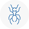 Ant Removals In Carnforth