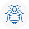 Bed Bug Extermination In Carnforth