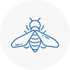 Bee Nest Removal Carnforth