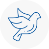Bird Prevention Carnforth