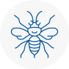 Carnforth Hornet Nest Removals