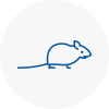Mice Exterminators In Carnforth