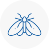 Moth Control Specialists In Carnforth