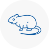 Rat Control Carnforth