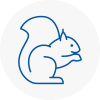 Carnforth Rodent Removals